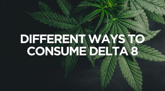 different ways to consume delta 8