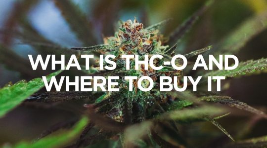 where to buy thc-o
