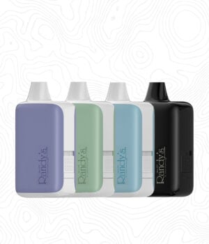 Randys Inspo XL Cart Battery