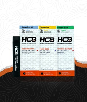 20 Pack Assorted Disposable Bundle