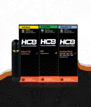 10 Pack Assorted 2ml Disposable Bundle