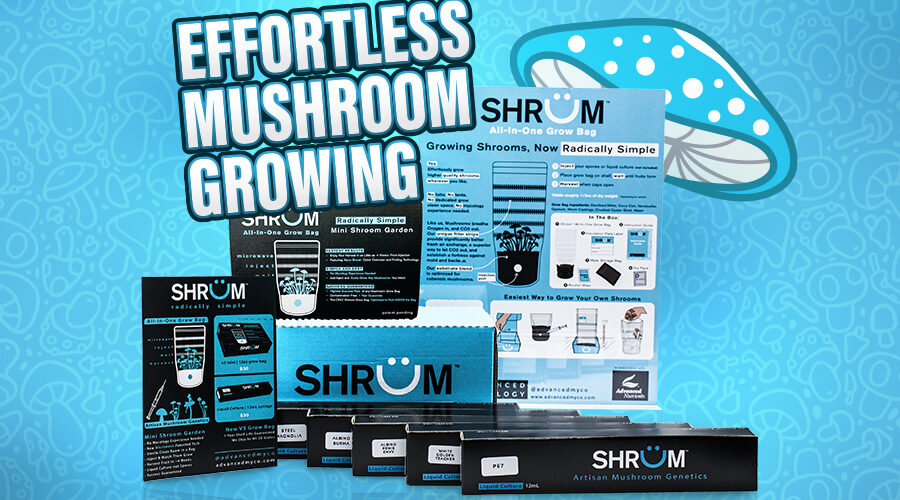 The Easiest Way to Grow Mushrooms