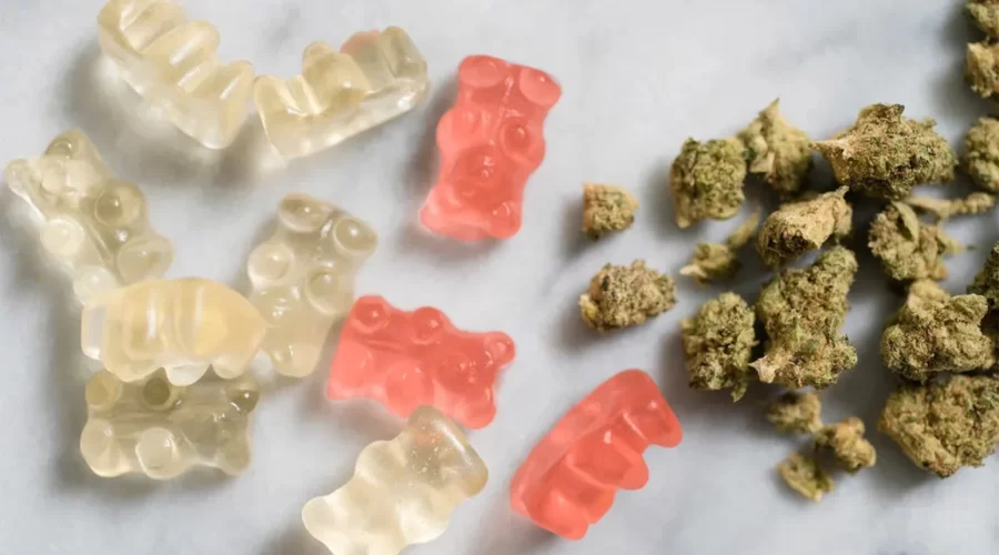 Are Edibles More Potent Than Other Forms of Cannabis? Understanding the Differences and What to Expect